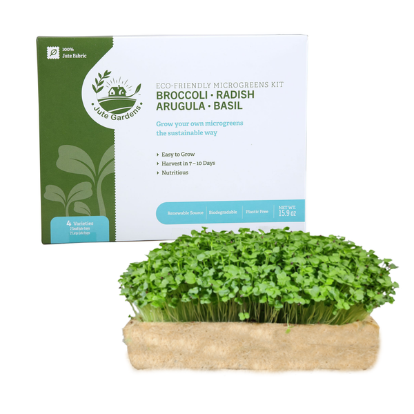 Microgreen growing kit box with freshly grown microgreens